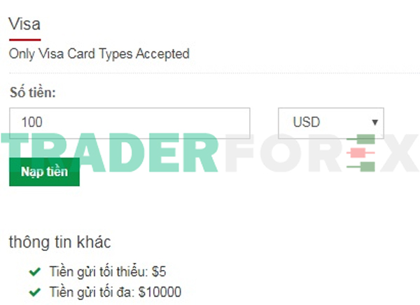Nạp tiền bằng thẻ Visa