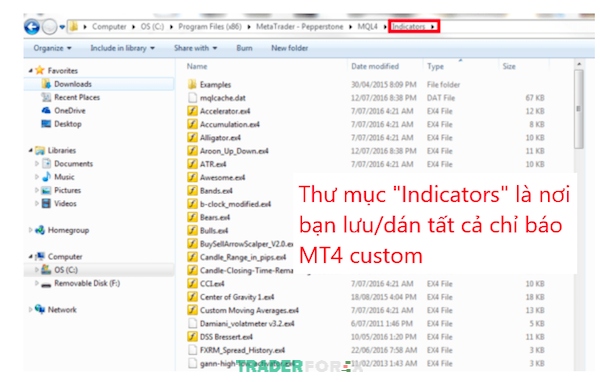 Hướng dẫn bước 5
