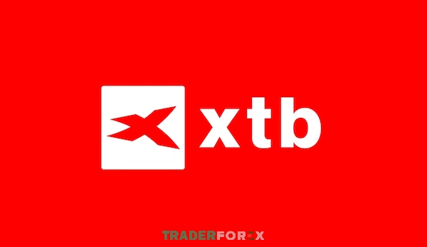 XTB hiện nay sở hữu số lượng nhà giao dịch rất cao