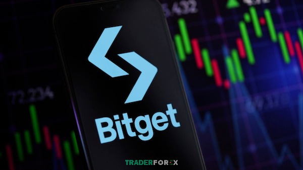 Giao dịch phái sinh nhanh, không KYC với nhiều ưu đãi và copy trading tiện lợi với Bitget