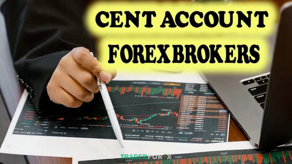 Các broker hàng đầu trên đều có tài khoản Cent, điều kiện cạnh tranh, công cụ đa dạng