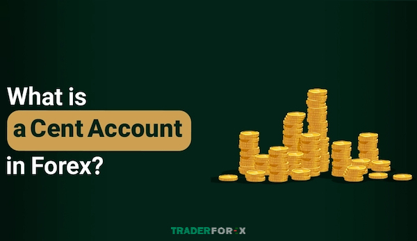 Tài khoản Cent phù hợp để thử nghiệm chiến lược giao dịch mà không chịu quá nhiều rủi ro tài chính