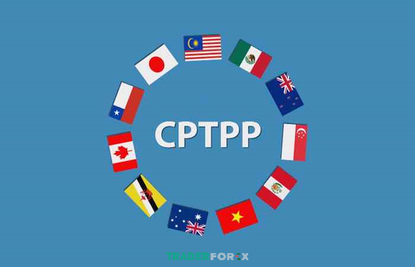 Hiệp định Đối tác Toàn diện và Tiến bộ xuyên Thái Bình Dương hay CPTPP là gì?